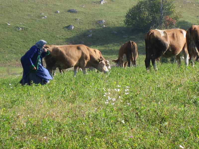 Timeless Czech Villages in the Banat Region of Romania