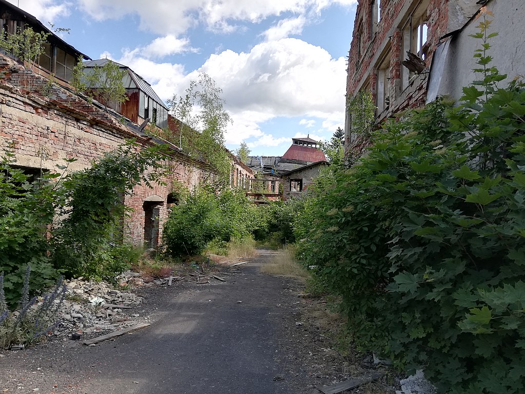 Forgotten History of Elias Palme Glassworks