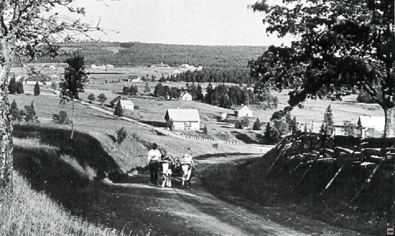 Šumava in 1929 - The Enchanted Forest