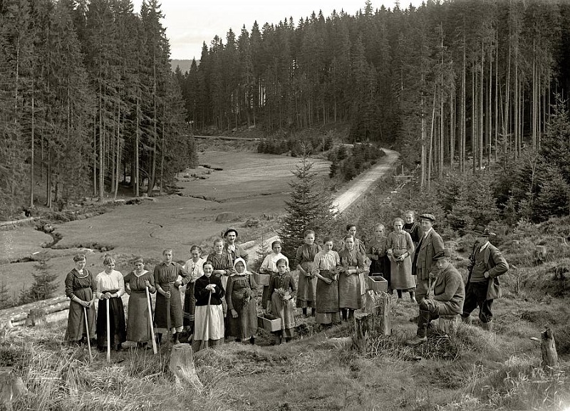 Šumava in 1929 - The Enchanted Forest