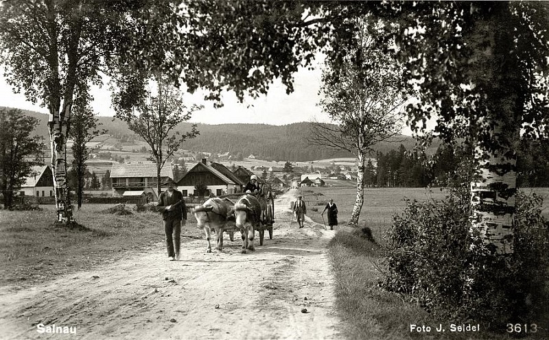 Šumava in 1929 - The Enchanted Forest