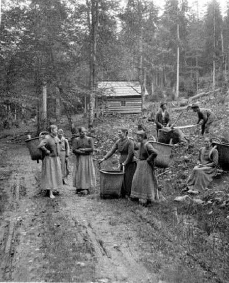 Šumava in 1929 - The Enchanted Forest