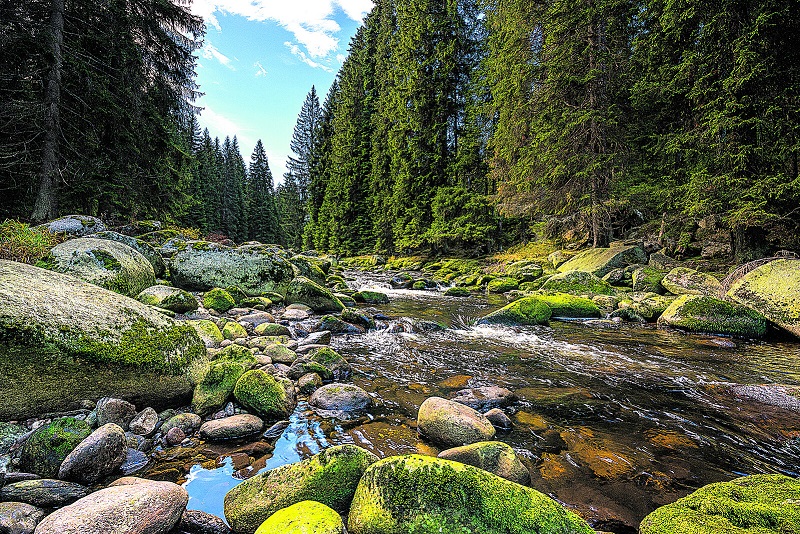 Šumava in 1929 - The Enchanted Forest