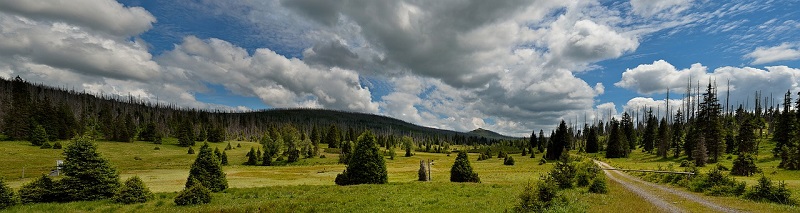 Šumava in 1929 - The Enchanted Forest