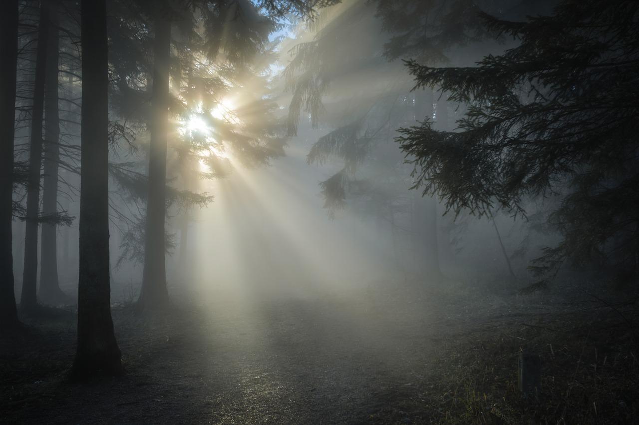 Šumava in 1929 - The Enchanted Forest