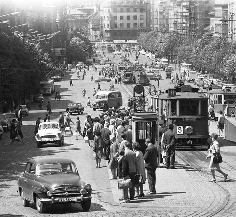 Trams on Wenceslas Square