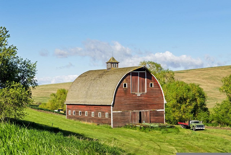 Czechs in the Northwest