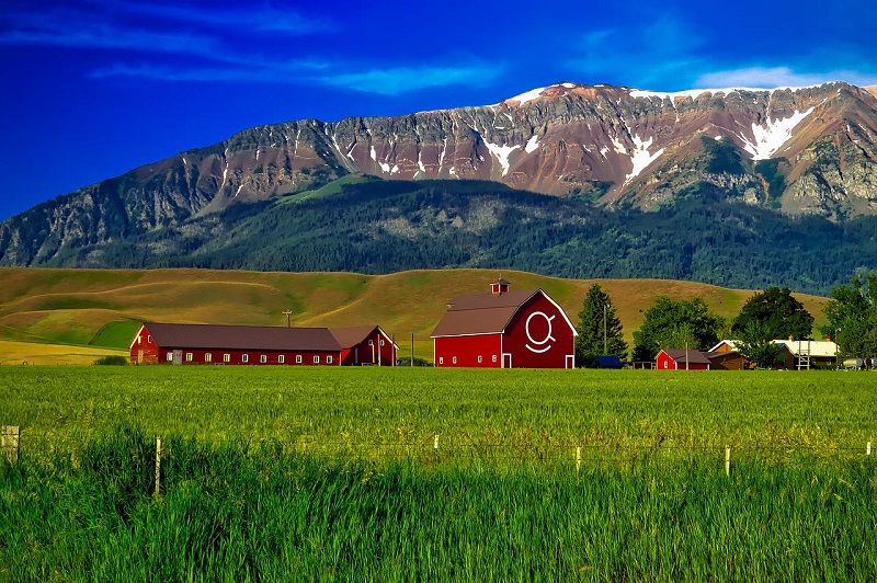 Czechs in the Northwest