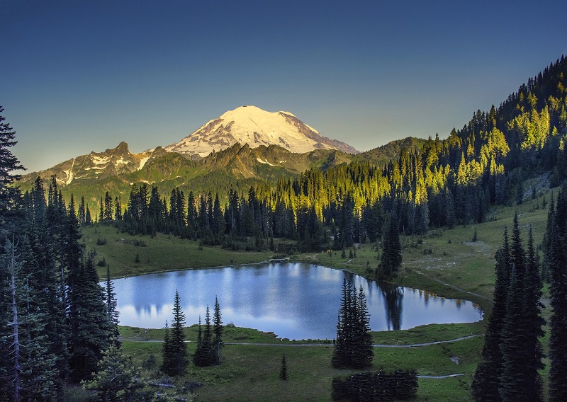 Czechs in the Northwest