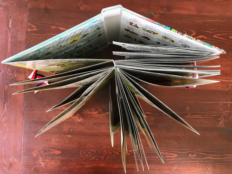 Pop-up Books of Lucy Seifert