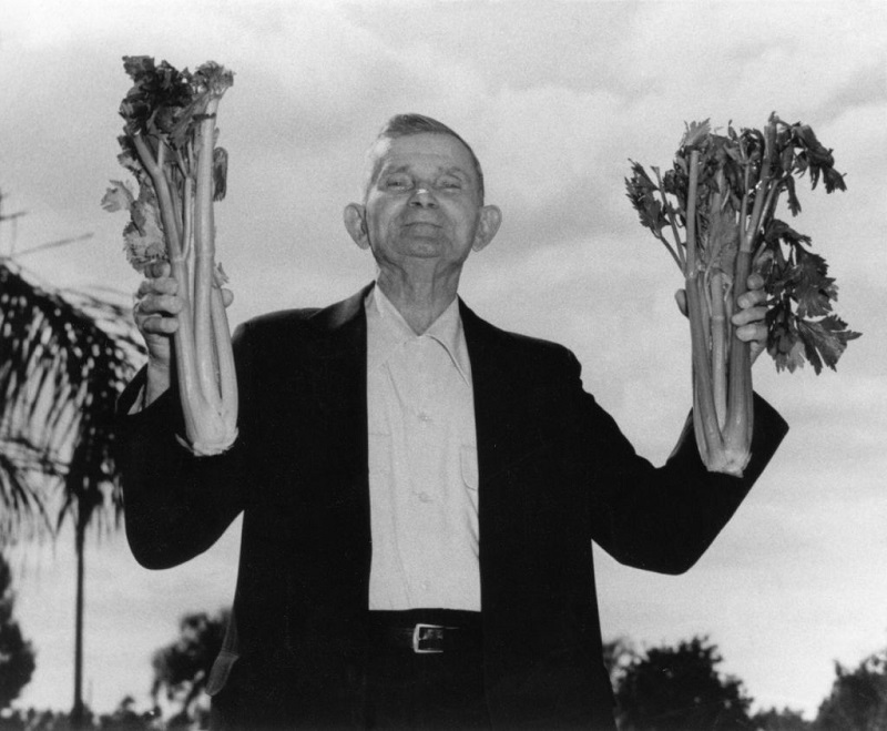 Czech Settlement at Slavia, Florida