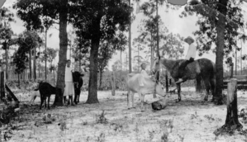 Czech Settlement at Slavia, Florida