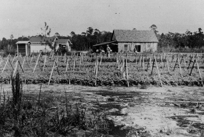 Czech Settlement at Slavia, Florida