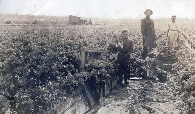 Czech Settlement at Slavia, Florida