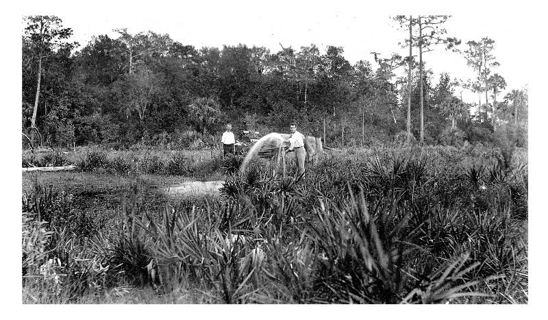 Czech Settlement at Slavia, Florida