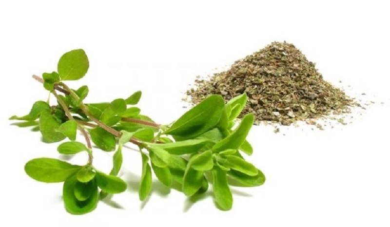 The Czech Love Affair with Marjoram